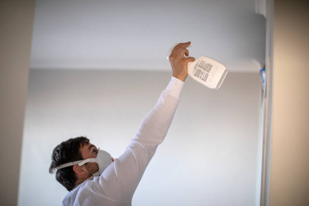 Trusted Oakwood Hills, IL Mold Removal Experts